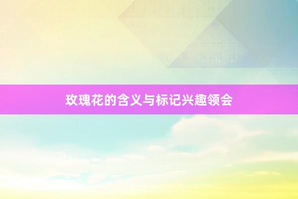 玫瑰花的含义与标记兴趣领会